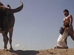 バルコニーの魅力的な雌犬の猫にクソ 女の子 用 無料 av