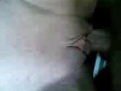 金髪の女の子は彼女の猫にコックを望んでいた 女の子 の ため の 無料 エッチ 動画