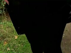 吸大きなコックのためのブカメラ 女の子 向け セックス 動画